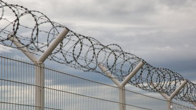 Финские власти выделили деньги на забор на границе с Россией